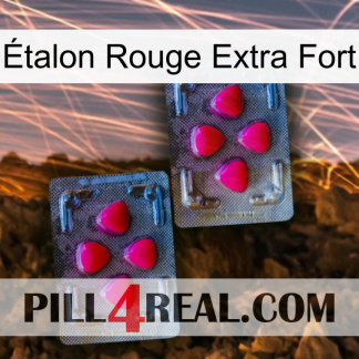 Étalon Rouge Extra Fort 14